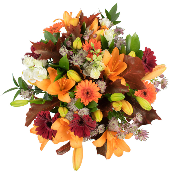 A lush, overhead view of an autumn bouquet captured on a stark white background so every botanical detail reads plainly and beautifully. At the heart of the design sit several large, open orange Asiatic lilies, their elegant, trumpet-shaped petals swept back to reveal rich orange interiors. Surrounding those lilies are cheerful orange Gerbera daisies and deep burgundy gerberas, whose radial petals and darker centres create visual sparks across the composition. Delicate, creamy-white lisianthus (or small roses) nestle between the bolder flowers, their layered, ruffled petals introducing gentle highlights, while muted purple Astrantia filler flowers bring fine, star-like textural contrast and an airy complexity. Many tight green-and-tinged orange lily buds are visible, contributing future movement and a sense of ongoing bloom.
The autumn theme is reinforced with broad, lobed leaves in warm chestnut and reddish-brown tones-clear reminders of fallen oak-strategically arranged for a natural, gathered look. Fresh green foliage and slender stems weave through the design, offering support and a verdant counterpoint to the warm palette. The overall impression is of abundance and careful craftsmanship: a bouquet that feels like a pocket of a late-afternoon garden, comforting and celebratory. I imagine this piece grounding a harvest table in Acton or brightening a doorway on Churchfield Road; it suits seasonal décor, an autumn gift, or any occasion that calls for warm, textured floral storytelling.